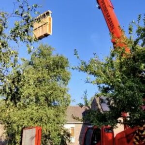 Export van aluminium ramen en deuren voor woningrenovatie in Rotterdam